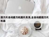 圆刀片自动磨刀机图片高清,全自动磨圆刀片机器