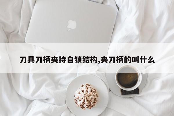刀具刀柄夹持自锁结构,夹刀柄的叫什么