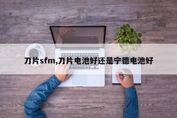 刀片sfm,刀片电池好还是宁德电池好