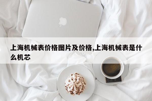 上海机械表价格图片及价格,上海机械表是什么机芯