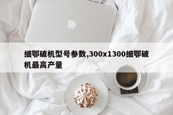 细鄂破机型号参数,300x1300细鄂破机最高产量